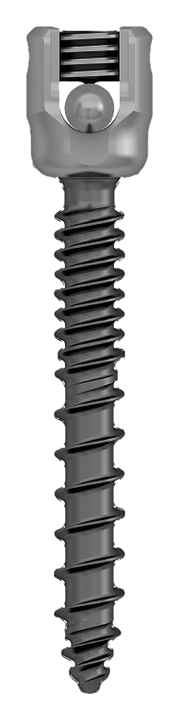 HOBBIT polyaxial pedicle screw